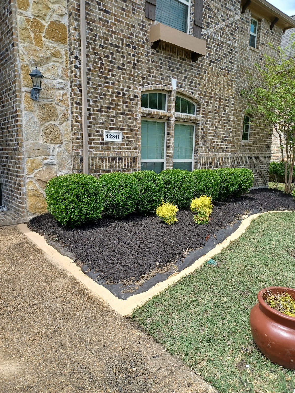 Mulch beds with trimmed shrubs